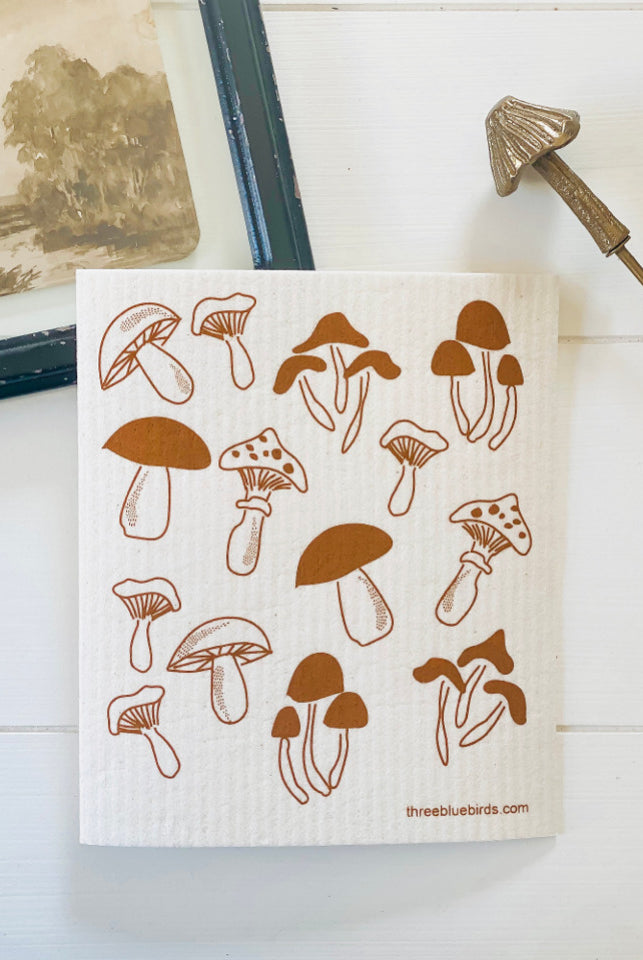 Fungi on White Swedish Dishcloth
